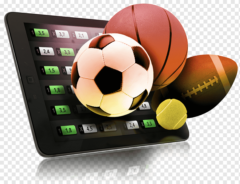 Essential Tips for Live Sports Betting How to Maximize Your Success